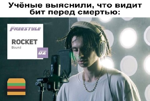 Учёные выяснили, что видит бит перед смертью: ROC KET