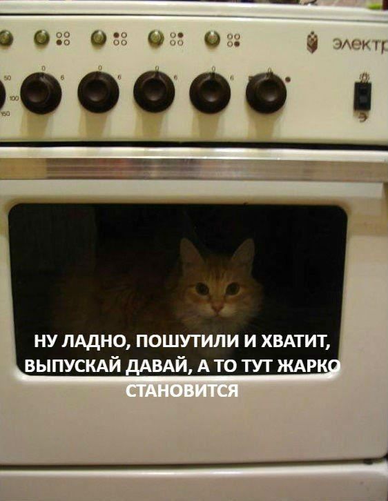 НУ ЛАДНО, ПОШУТИЛИ И ХВАТИТ, „ВЫПУСКАЙ ДАВАЙ, А ТО ТУТ ЖАРКО СТАНОВИТСЯ
