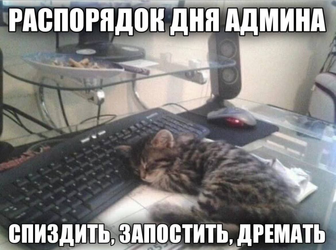 'РАСПОРЯДОК ДНЯ АДМИНА СПИЗДИТЬ, ЗАПОСТИТЬ, ДРЕМАТЬ