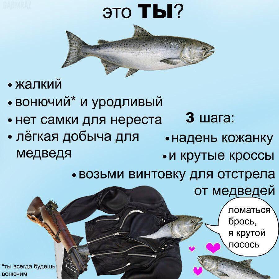 это ТЫ? жалкий вонючий“ и уродливый 3 шага: Нет самки для нереста лёгкая добыча для кожанку медведя крутые кроссы ВОЗЬМИ ВИНТОВКУ ДЛЯ ОТСТрела от медвед ломаться брось я крутой лосось *ты всегда будеш