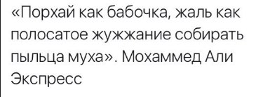 «Порхай как бабочка, жаль как полосатое жужжание собирать пыльца муха». Мохаммед Али Экспресс