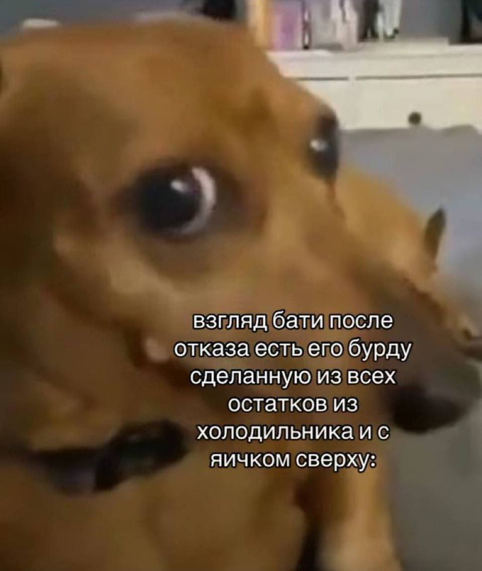 взгляд бати после отказа есть его бурду сделанную из всех остатков из холодильника и с яичком сверху:
