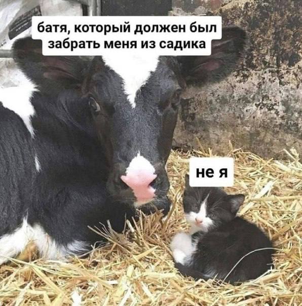 батя, который должен был забрать меня из садика