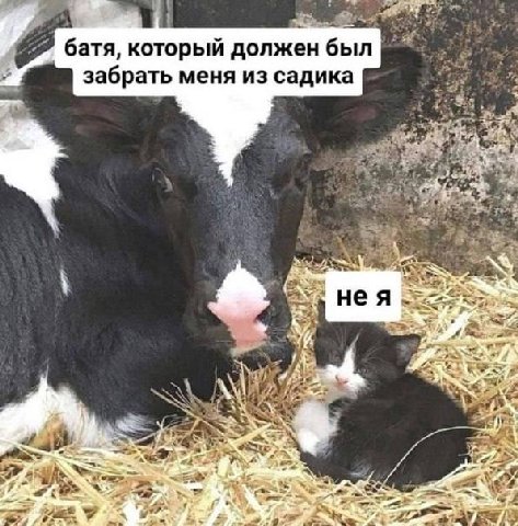 батя, который должен был забрать меня из садика