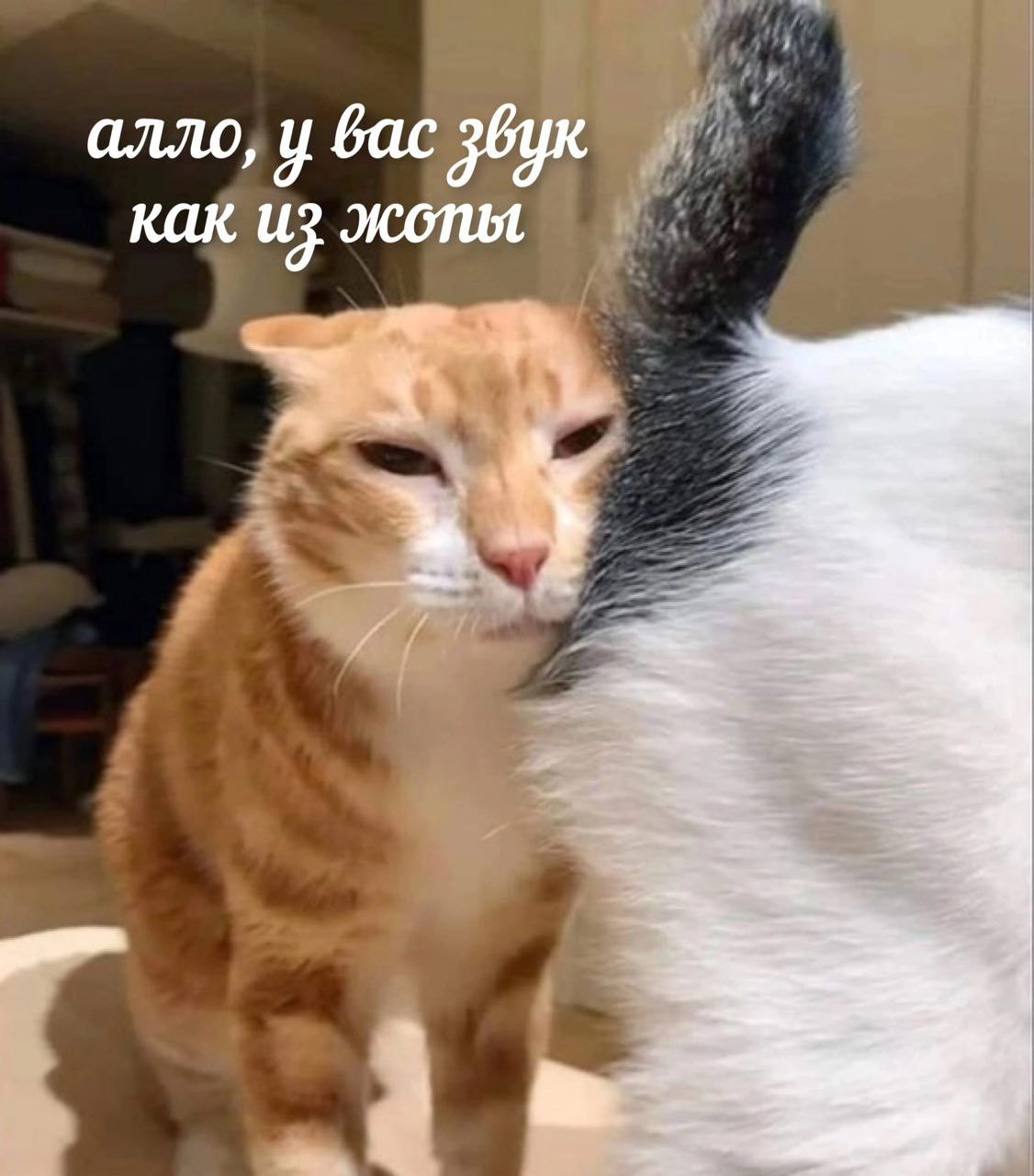 алло, у бас звук как из жопы