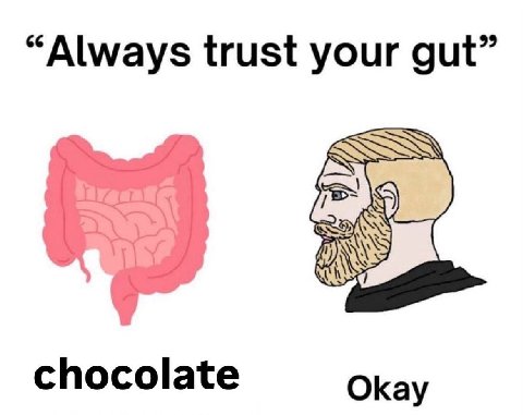 “Always trust your gut” chocolate Okay