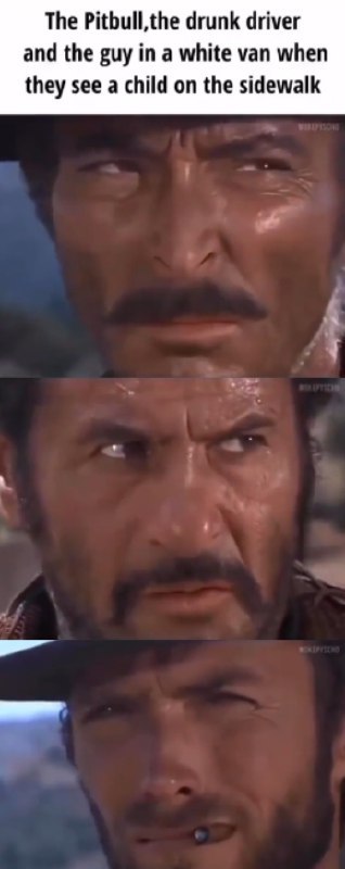 The Pitbull,the drunk driver and the guy in a white van when they see a child on the sidewalk