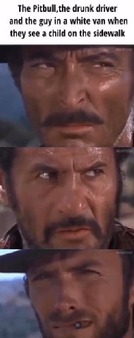 The Pitbull,the drunk driver and the guy in a white van when they see a child on the sidewalk