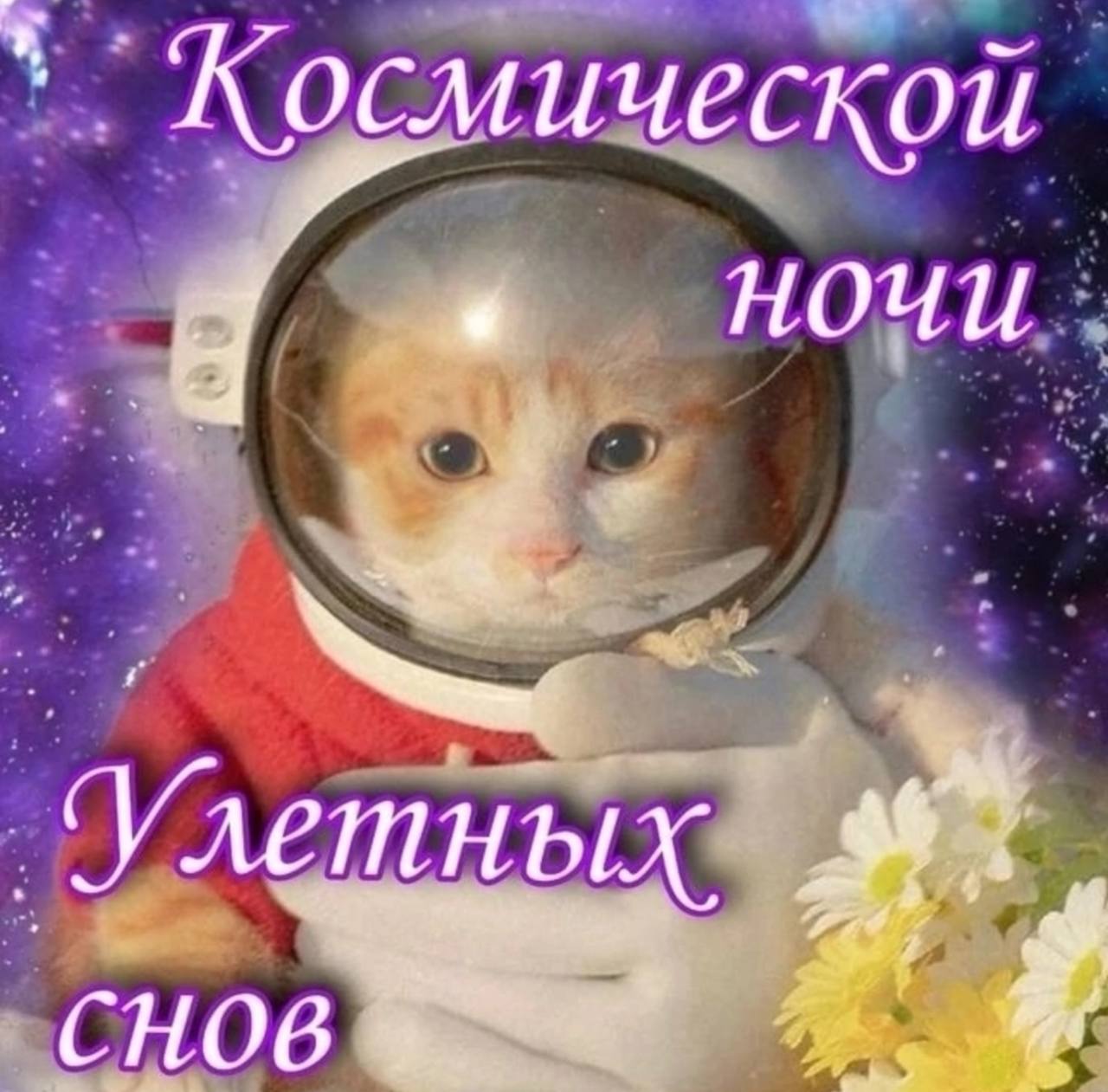 Космической НОЧИ снов