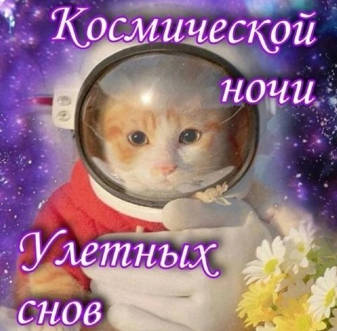 Космической НОЧИ снов
