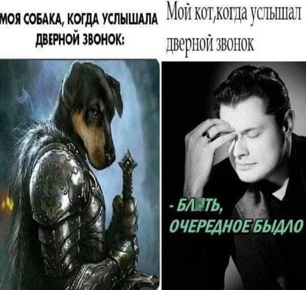 ON КОГДА УСЛЫШАЛА ДВЕРНОЙ ЗВОНОК; дверной ЗВОНОК БЛЯТЬ, 4 4