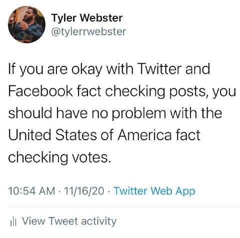Tyler Webster @tylerrwebster If you are okay with Twitter and Facebook fact checking posts, you should have no problem with the United States of America fact checking votes. 10:54 11/16/20 Twitter Web