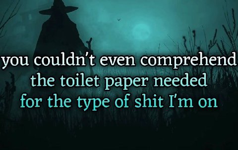 you couldn't even comprehend the toilet paper needed tor the type of shit on