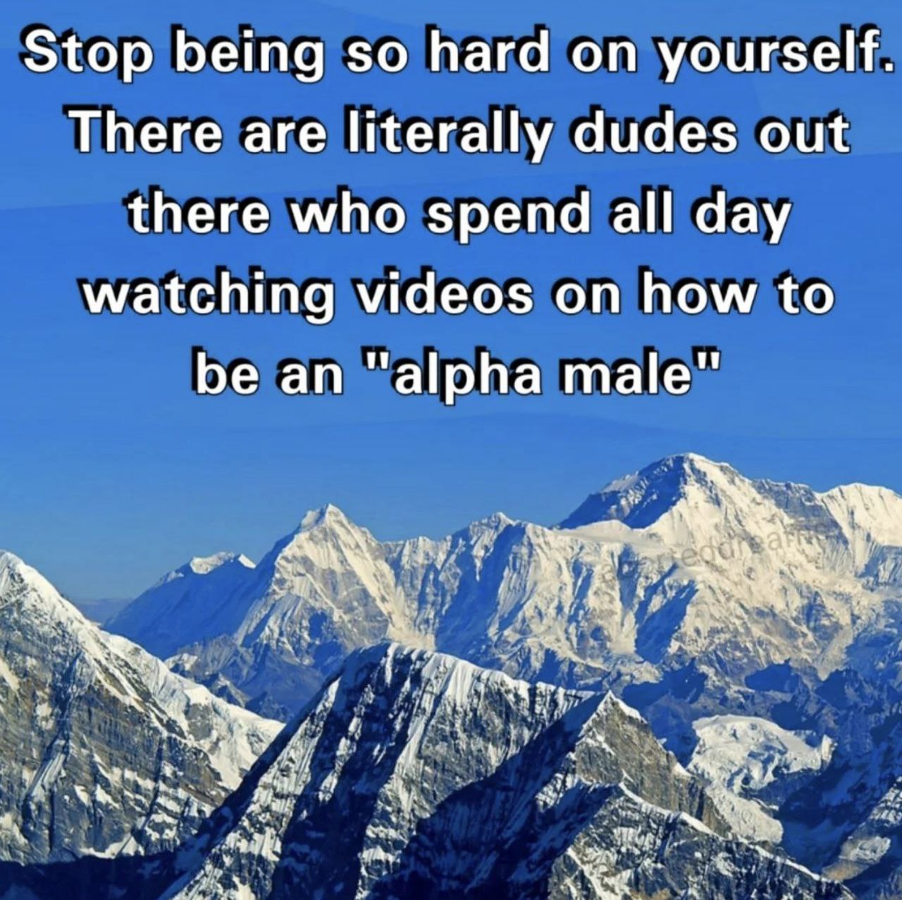 Stop being so hard on yourself. There are literally dudes out there who spend all day watching videos on how to be an "alpha male"