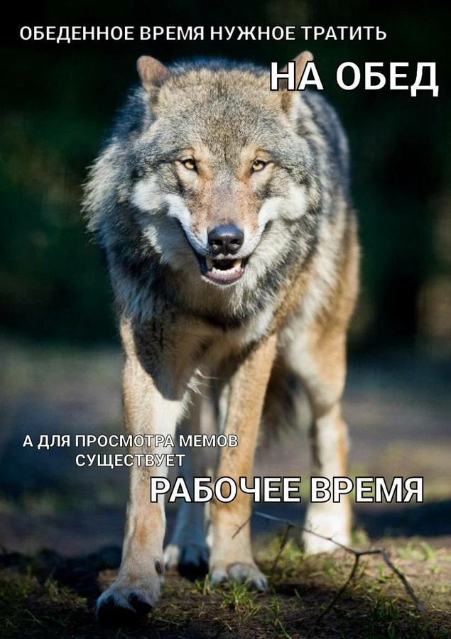 ОБЕДЕННОЕ ВРЕМЯ НУЖНОЕ ТРАТИТЬ _НА ОБЕД А ДЛЯ МЕМОВ СУЩЕСТВУЕТ КАБО ЧЕЕ ВРЕМЯ
