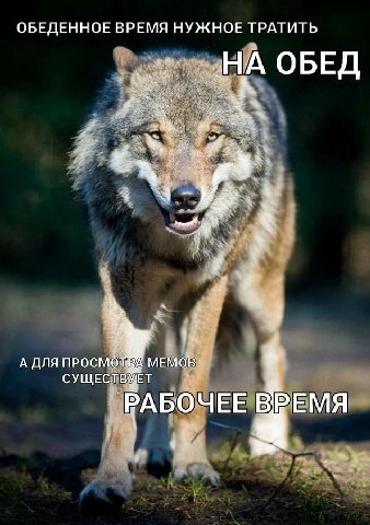 ОБЕДЕННОЕ ВРЕМЯ НУЖНОЕ ТРАТИТЬ _НА ОБЕД А ДЛЯ МЕМОВ СУЩЕСТВУЕТ КАБО ЧЕЕ ВРЕМЯ
