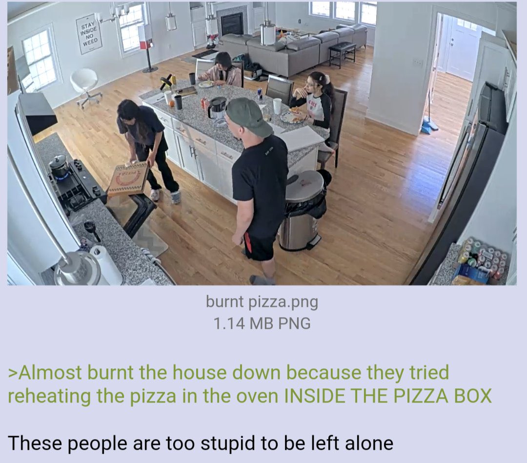 I JON 7 1 а В burnt pizza.png 1.14 PNG >Almost burnt the house down because they tried reheating the pizza in the oven INSIDE THE PIZZA BOX These people are too stupid to be left alone