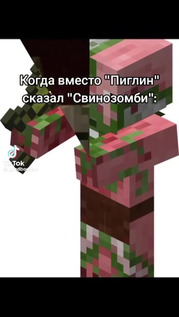Когда вместо" Пиглин" Сказал "Свинбзомби!:
