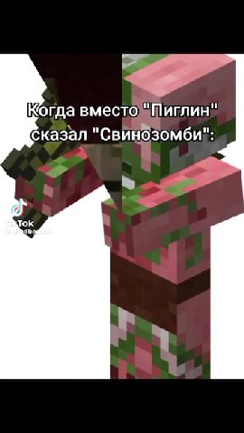 Когда вместо" Пиглин" Сказал "Свинбзомби!: