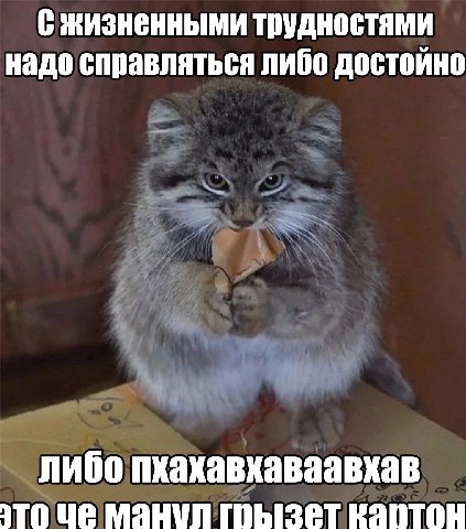 С жизненными трудностями надо справляться либо достойно либо пхахавхаваавхав это грызет
