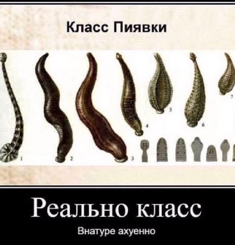 Класс Пиявки Реально класс Внатуре ахуенно