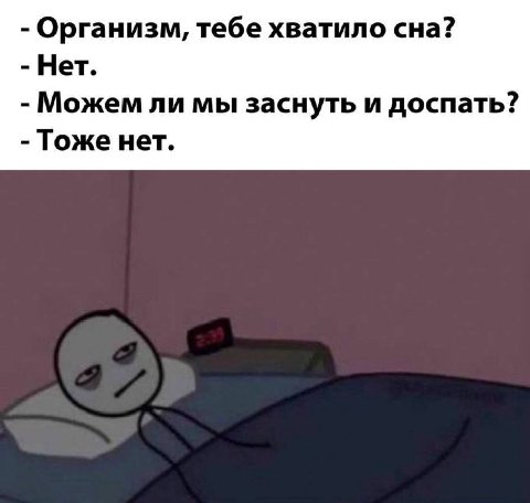 Организм, тебе хватило сна? Нет. Можем ли мы заснуть и доспать? Тоже нет.