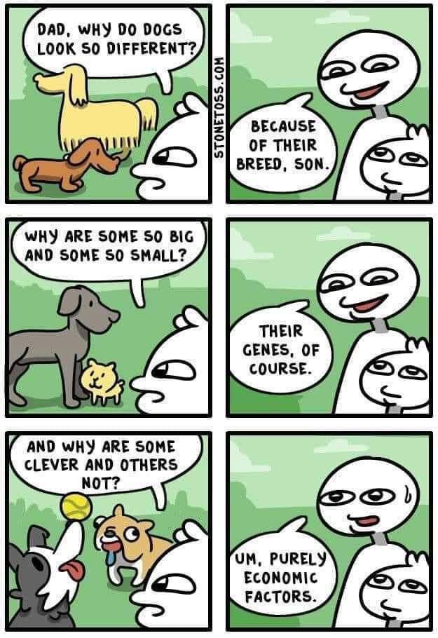 DAD, WHY DOGS LOOK SO DIFFERENT? BECAUSE OF THEIR BREED, SON. WHY ARE SOME SO BIG AND SOME SO SMALL? THEIR GENES, OF COURSE. AND WHY ARE SOME CLEVER AND OTHERS NOT? a> PURELY ECONOMIC FACTORS.