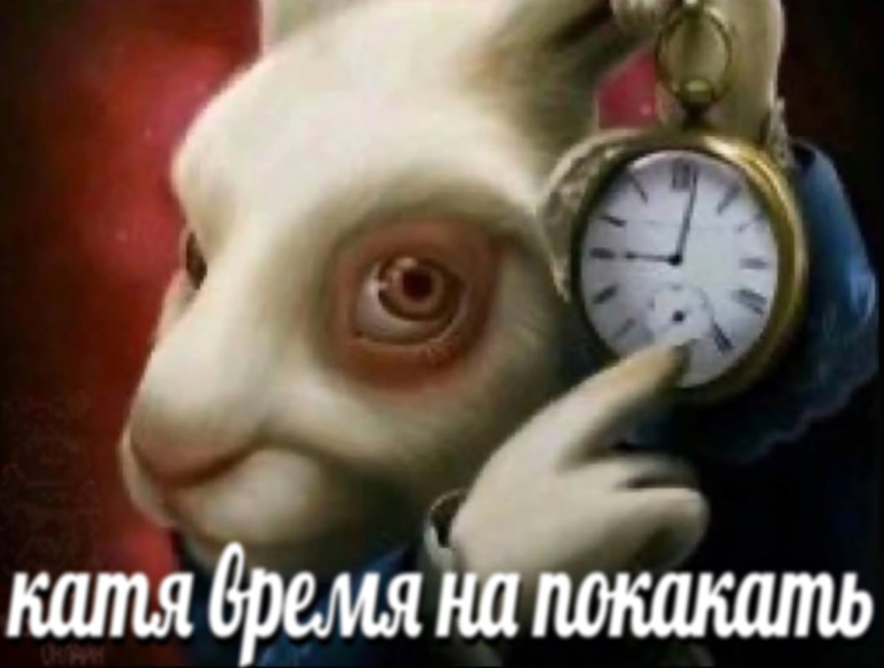 катя время на покакать