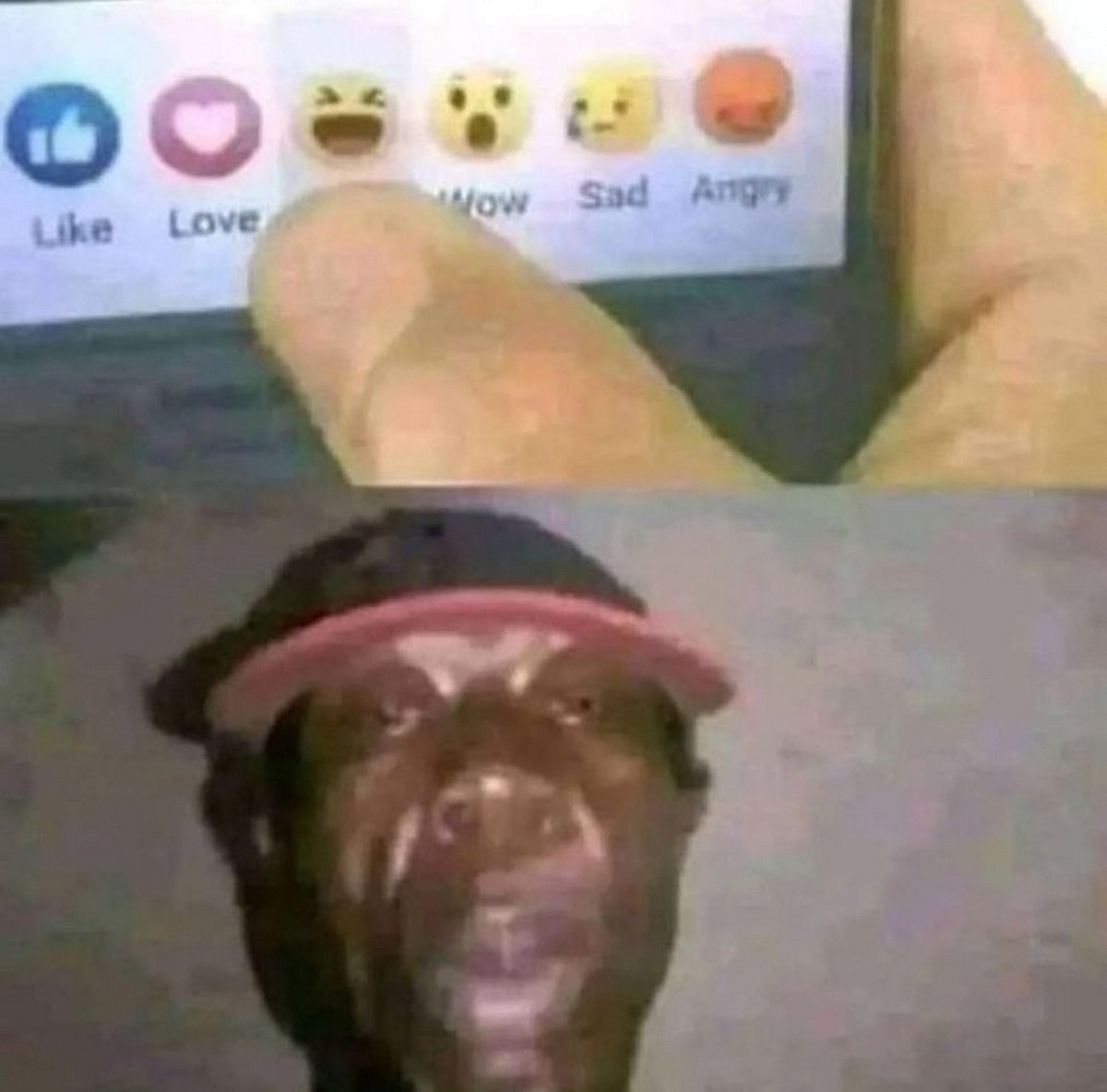 Sad ihe a