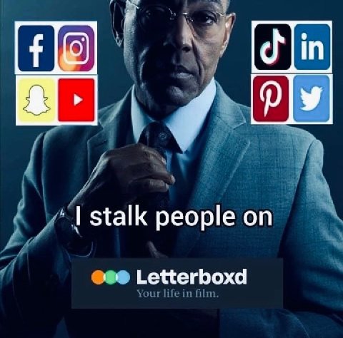 stalk people Letterboxd