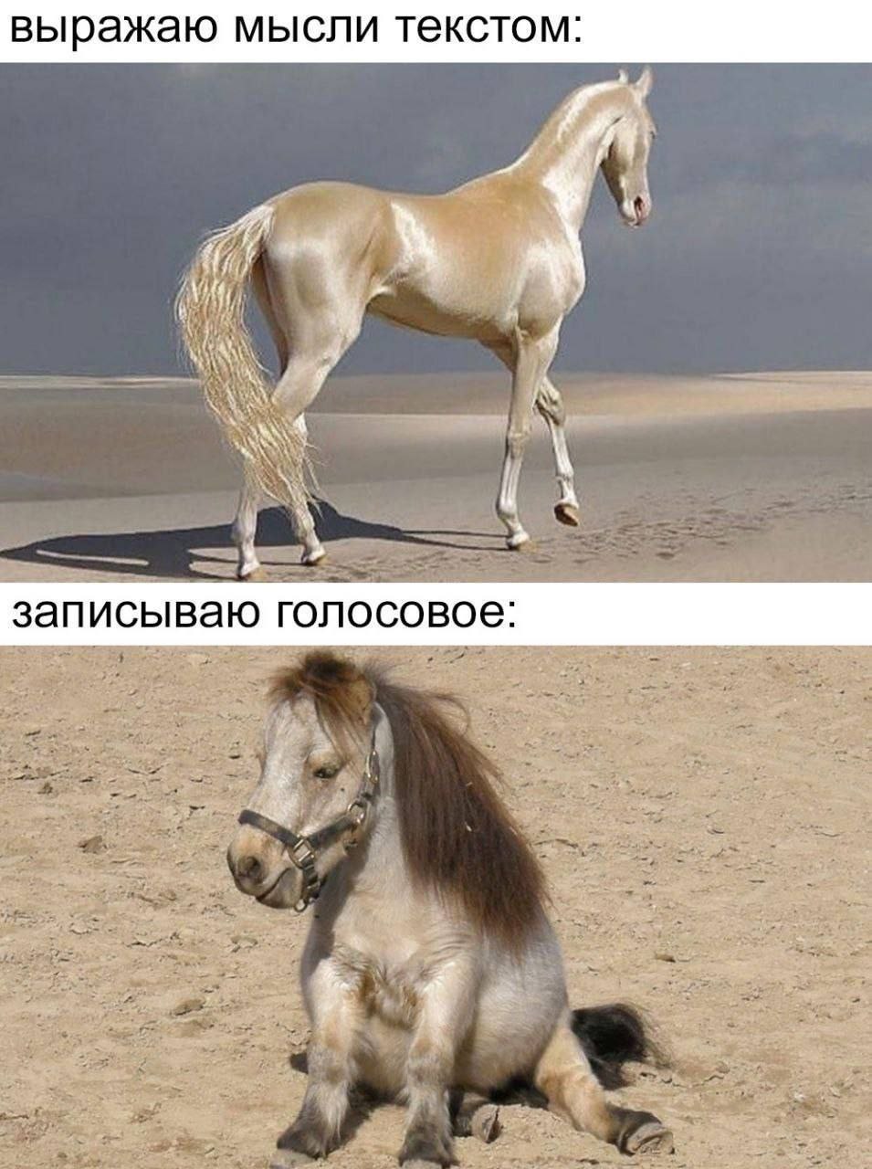 выражаю мысли текстом: a 4 записываю голосовое: