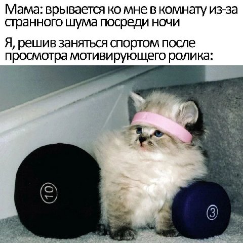 Мама: врывается мне в комнату из-за странного шума посреди ночи Я, решив заняться спортом после просмотра мотивирующего ролика: 4 4