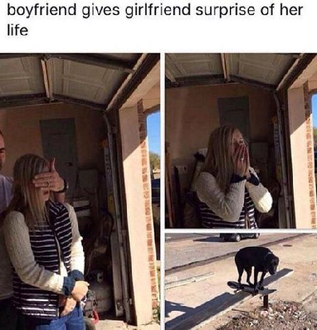 boyfriend gives girlfriend surprise of her life