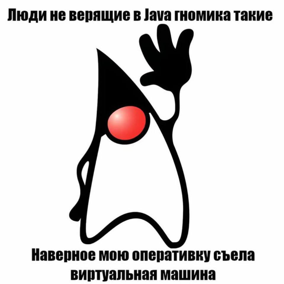 Люди не верящие в Java гномика такие Наверное мою оперативку съела виртуальная машина