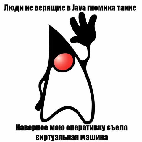 Люди не верящие в Java гномика такие Наверное мою оперативку съела виртуальная машина