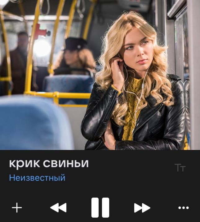 крик свиньи Неизвестный