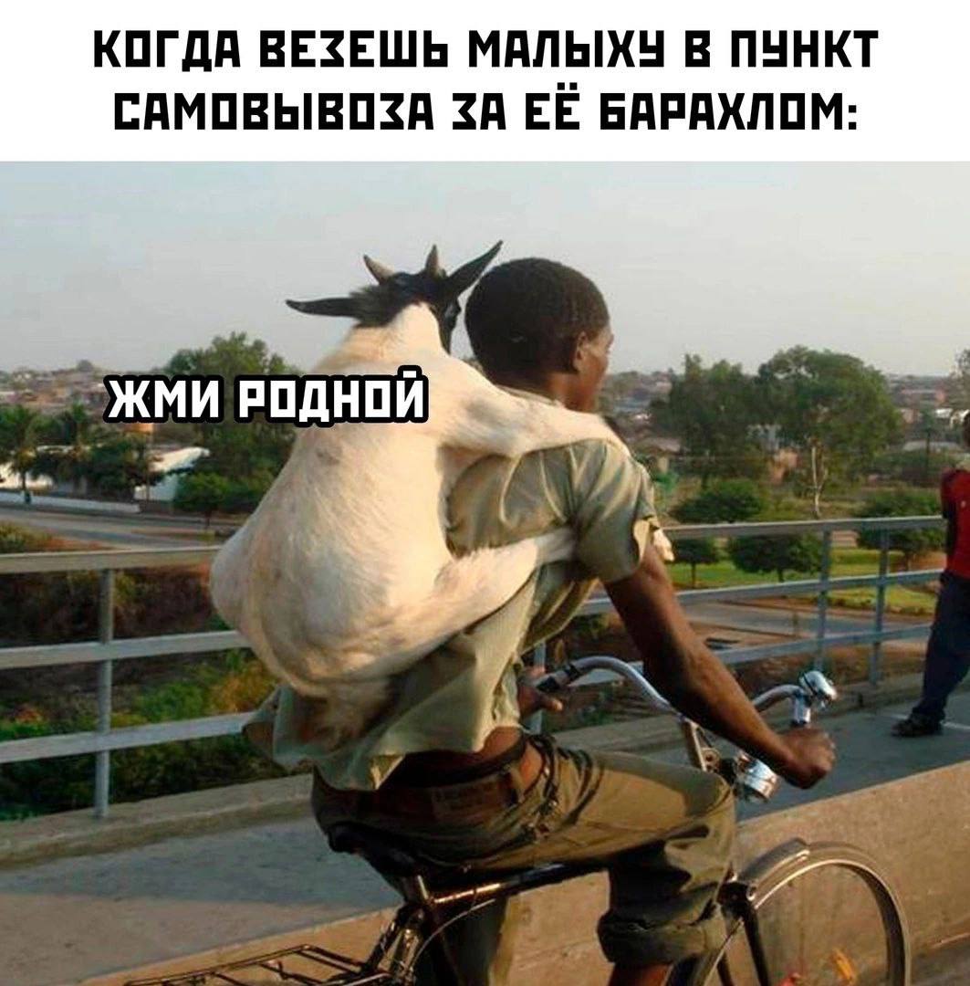 КОГДА ВЕЗЕШЬ МАЛЫХУ В ПУНКТ САМОВЫВОЗА ЗА ЕЁ БАРАХЛОМ: РОДНОЙ