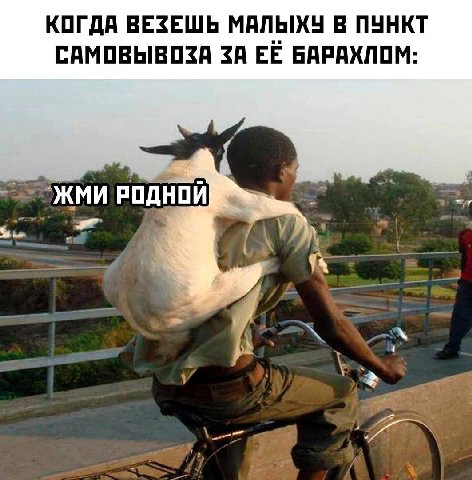 КОГДА ВЕЗЕШЬ МАЛЫХУ В ПУНКТ САМОВЫВОЗА ЗА ЕЁ БАРАХЛОМ: РОДНОЙ