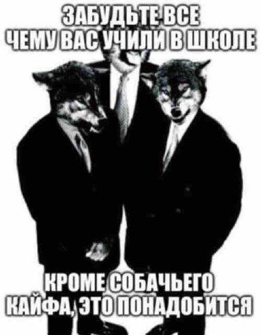 Запомните суки