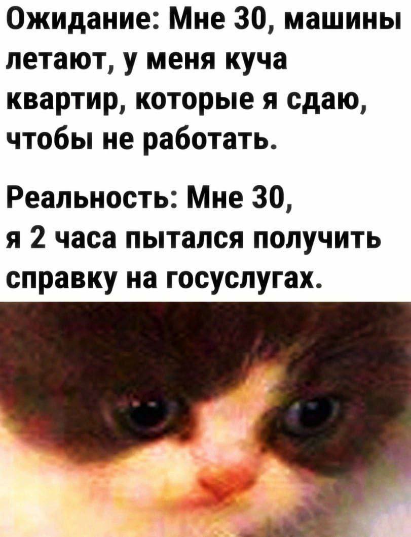 Ожидание: Мне 30, машины летают, у меня куча квартир, которые я сдаю, чтобы не работать. Реальность: Мне 30, я 2 часа пытался получить справку на госуслугах.