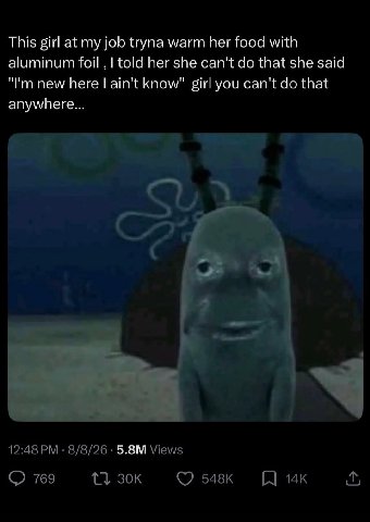 This girl at my job tryna warm her food with aluminum foil told her she can't that she said new here ain't know" girl you can't that anywhere... 12:48 8/8/26 Views 769 1}