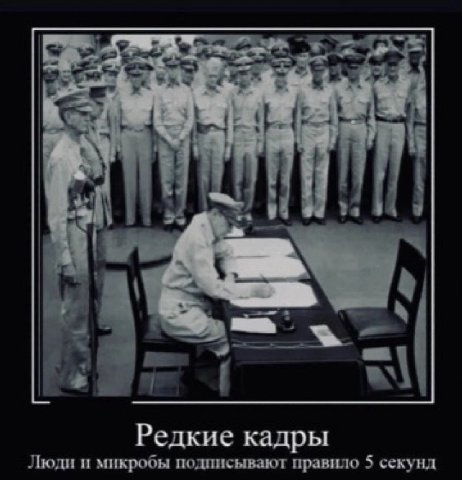 Редкие кадры Люди и микробы подписывают правило 5 секунд