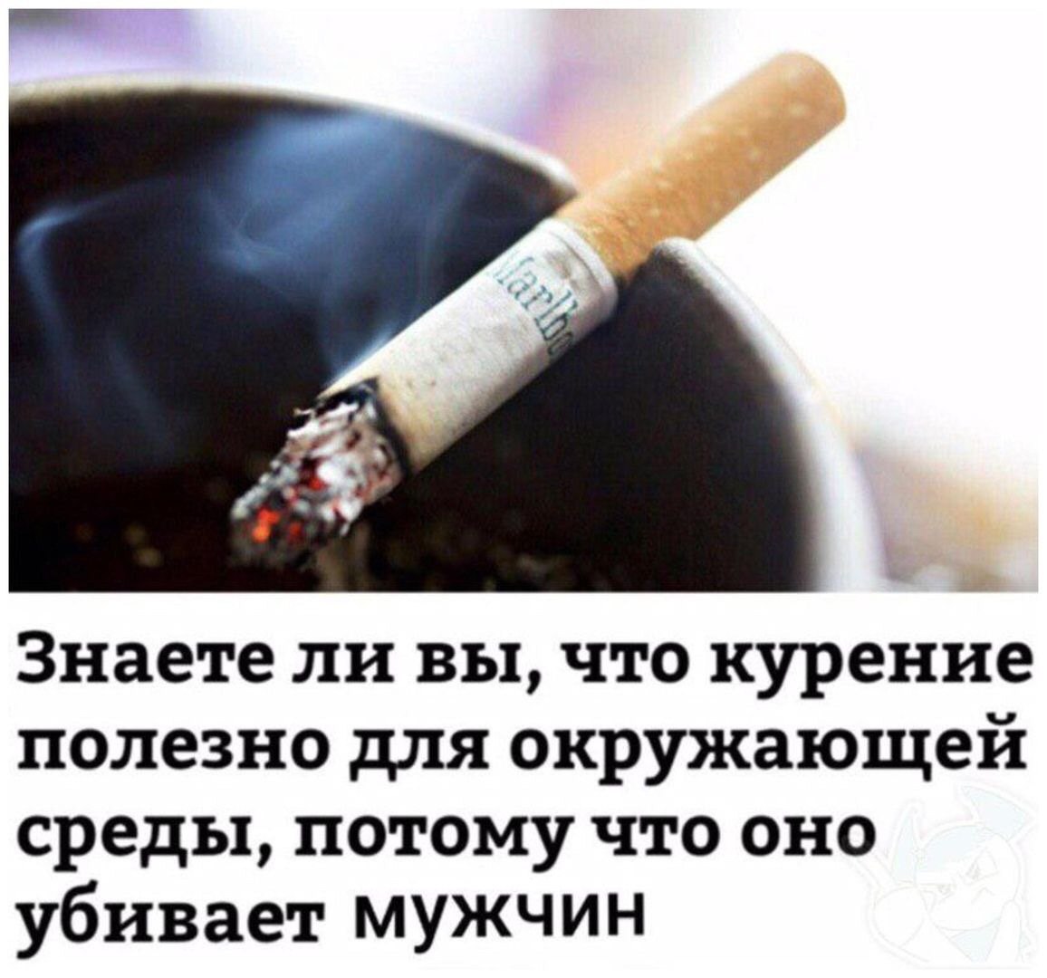 Знаете ли вы, что курение полезно для окружающей среды, потому что оно убивает мужчин