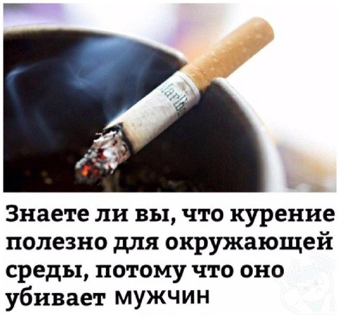 Знаете ли вы, что курение полезно для окружающей среды, потому что оно убивает мужчин