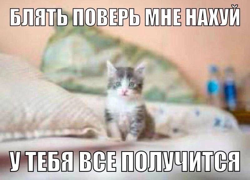 БЛЯТЬ ПОВЕВЫМНЕ