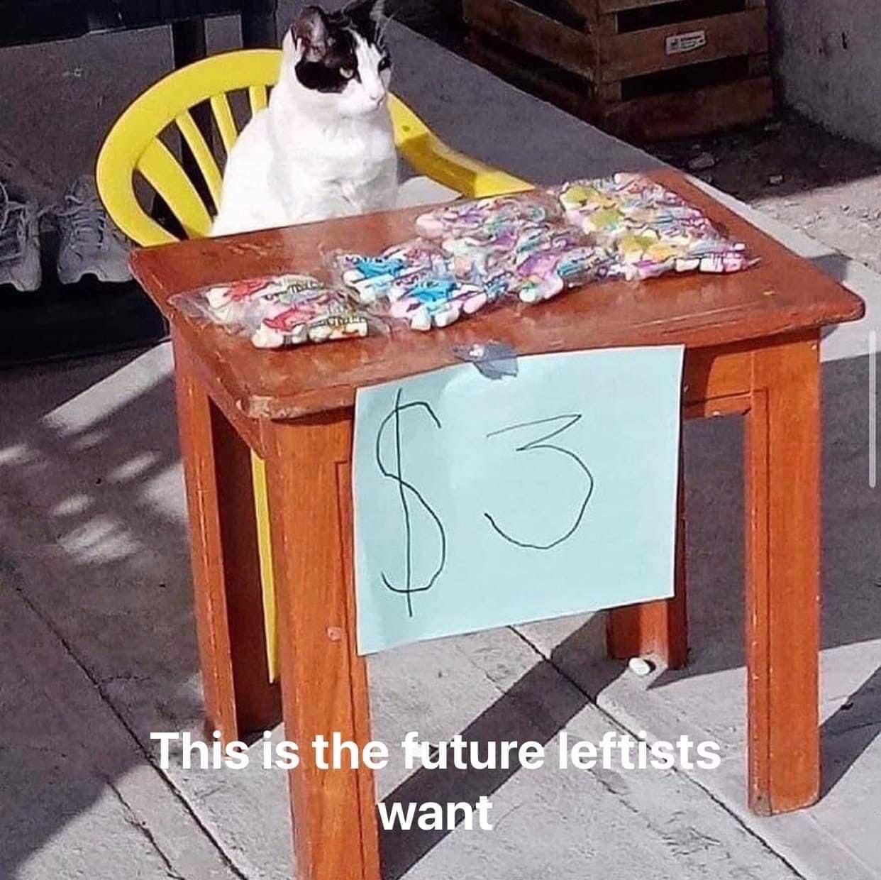 A hisi is the future