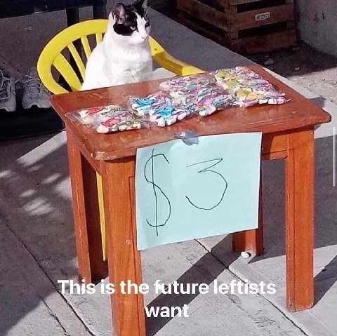 A hisi is the future