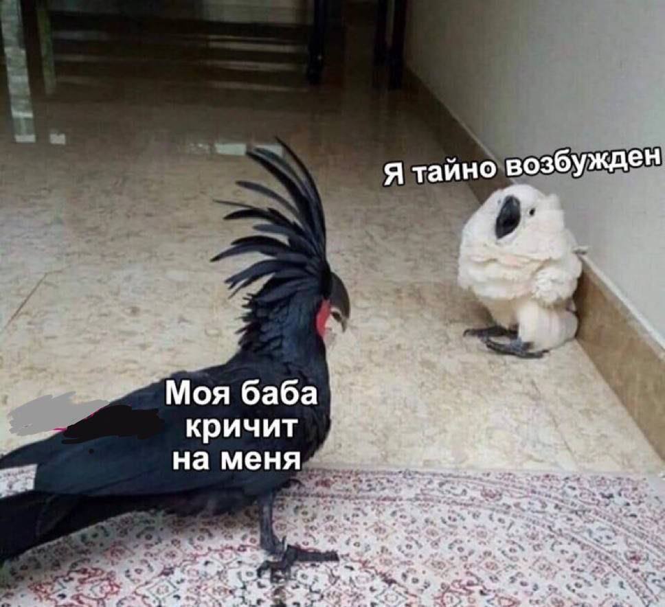 Я тайно возбужден Моя баба кричит #5; нам еня 1