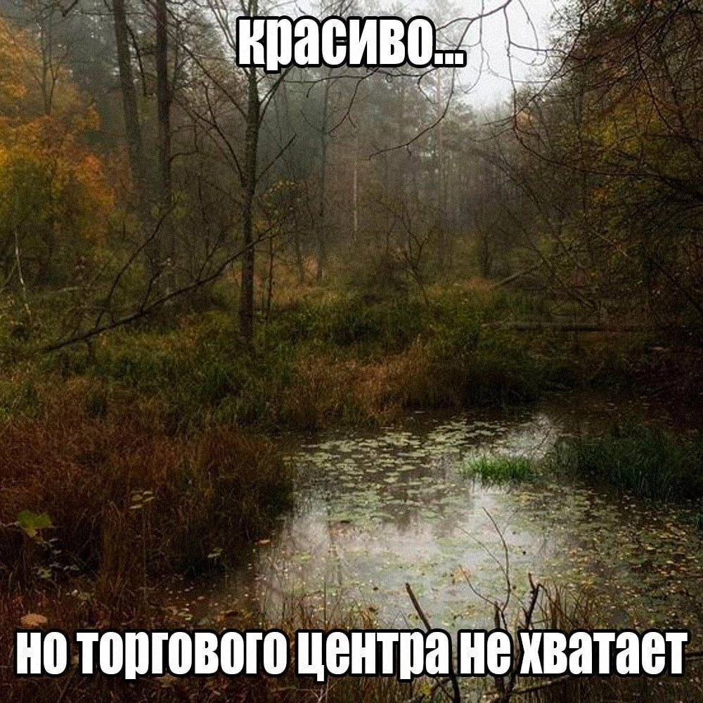 торгового центра не хватает