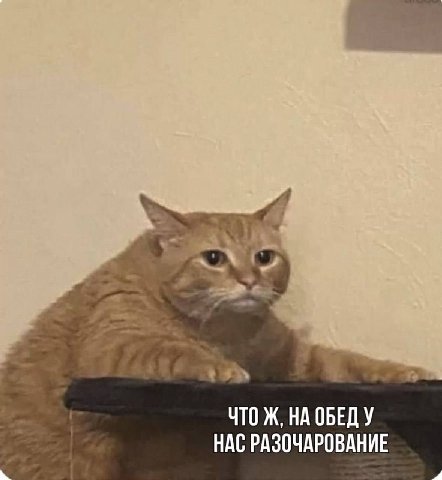 ЧТОЖ, НА ОБЕДУ НАС РАЗОЧАРОВАНИЕ